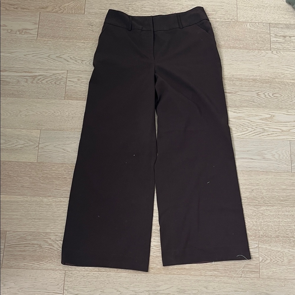 Style & Co. Brown Chinos